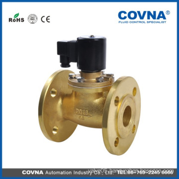 Steam brass flange type solenoid check valve